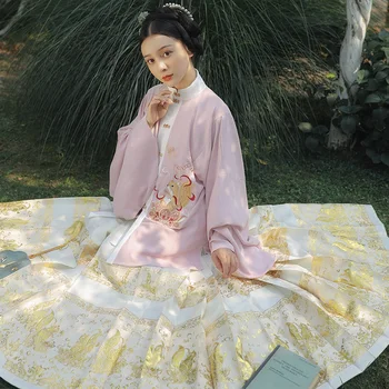 Princezna Čínské Tradiční Hanfu Ženy Tkaní Zlatý Kůň Tvář Sukně Starověké Kostým Skládaná Sukně Ming Dynastie Oblečení
