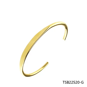 Zlato Furit Design Rose Silver náramek Náramek Módní Ženy Šperky Dárek Řetěz Náramek TSB22520